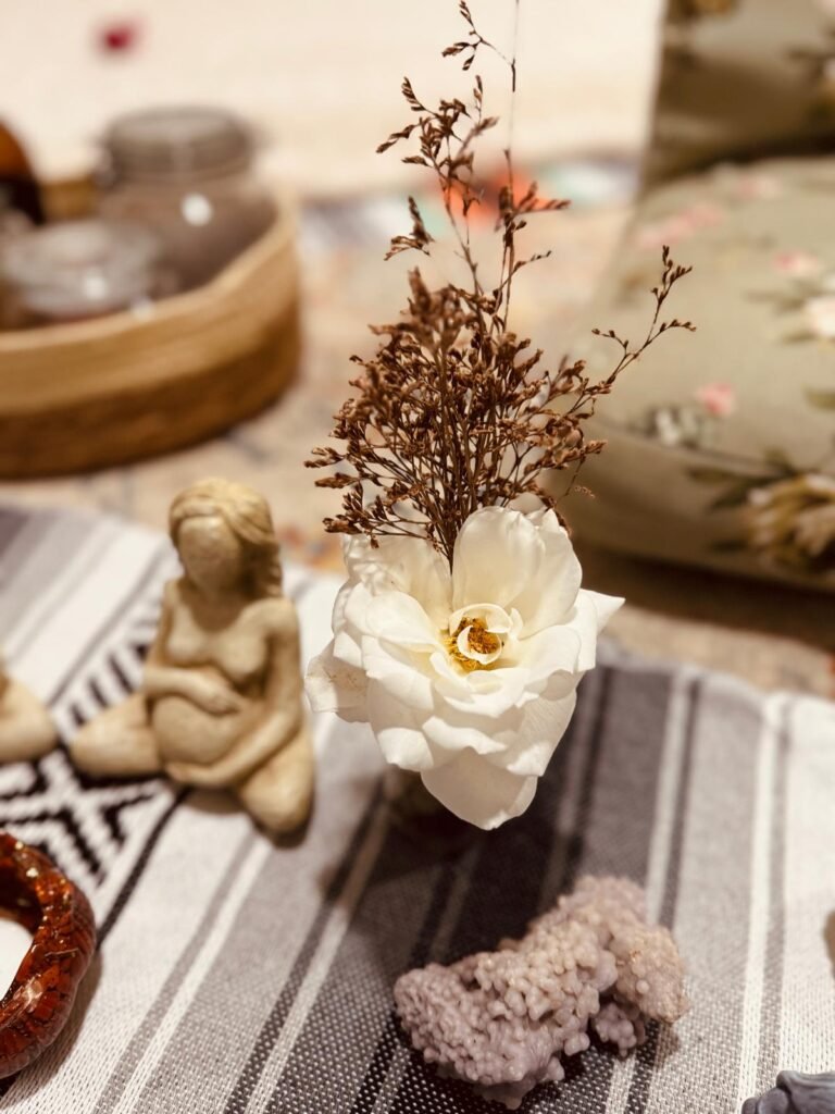 WhatsApp Image 2026-04-17 at 15.42.42 (7)